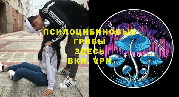 трава Лабытнанги