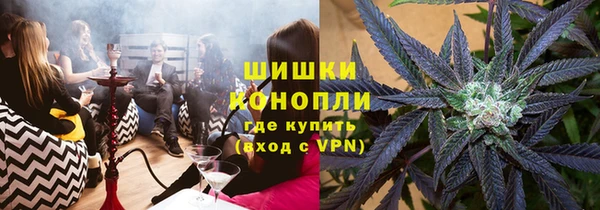 трава Лабытнанги